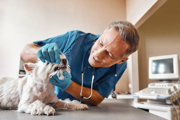 Best Emergency Root Canal Treatment in Cameron, TX